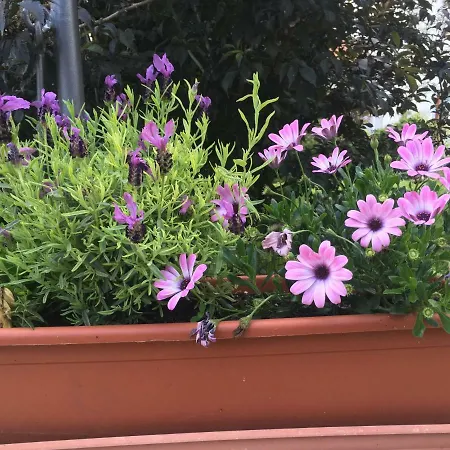 Augsburg-bergheim E. Appartamento Augusta