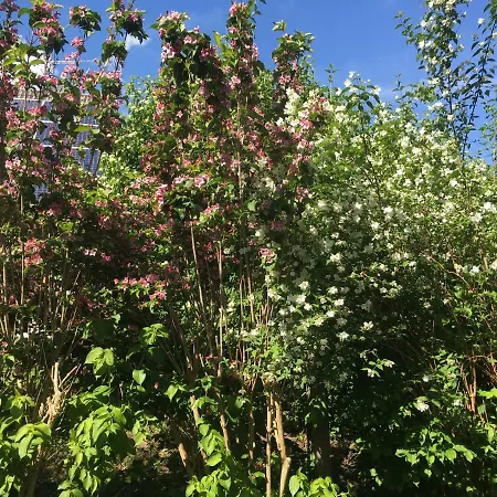 公寓 Augsburg-bergheim E.